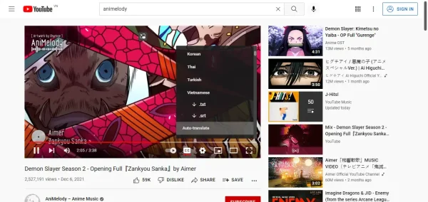 YouTube™ dual subtitles 2