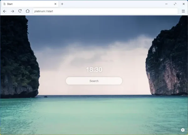 Platinum Browser 1