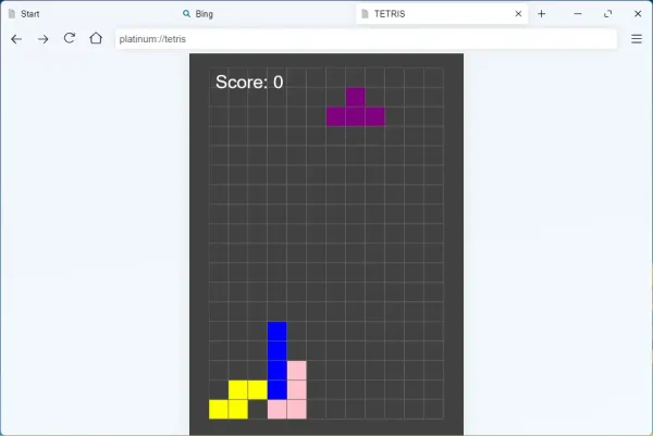 Platinum Browser 6