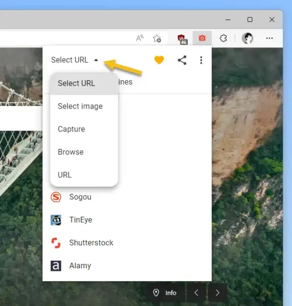 Search by Image 3