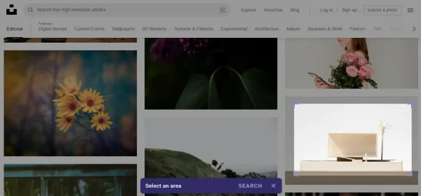 Search by Image 5