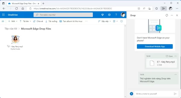 Cách bật và sử dụng tính năng Drop trên Microsoft Edge 5