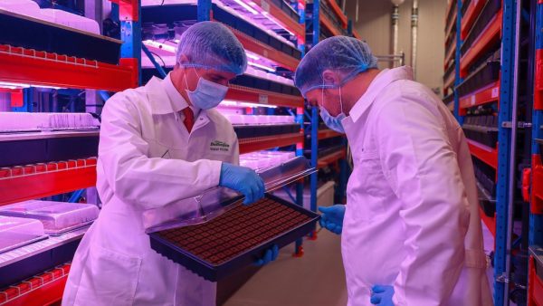 Emirates Flight Catering khai trương Trang trại thẳng đứng lớn nhất thế giới