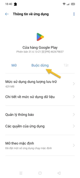 Cách khắc phục lỗi “Something went wrong. Try Again” trên Google Play 9