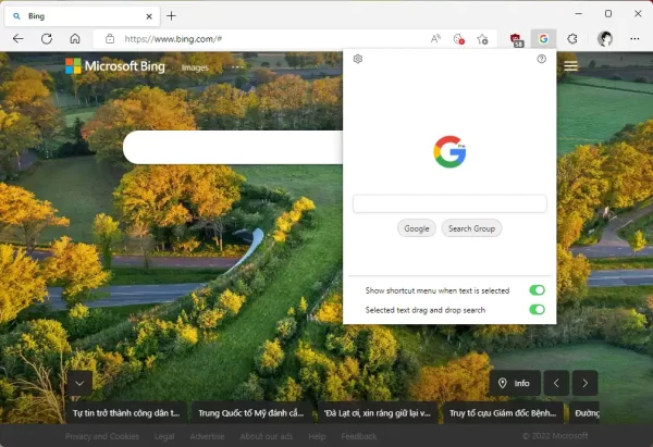 Assistant for Google Search 1
