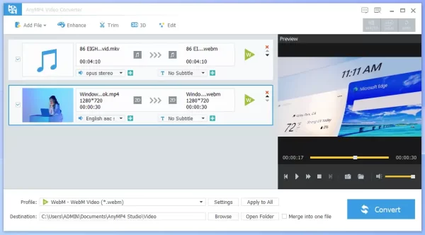 AnyMP4 Video Converter 6