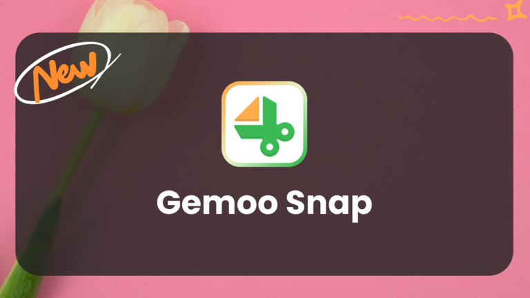 Cách sử dụng tiện ích mở rộng Gemoo Snap