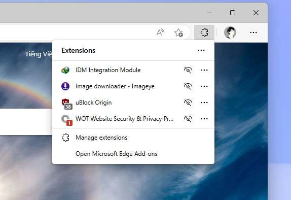 Extension Manager 6