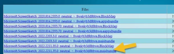 Snipping Tool 2