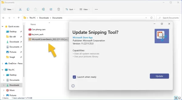 Snipping Tool 4
