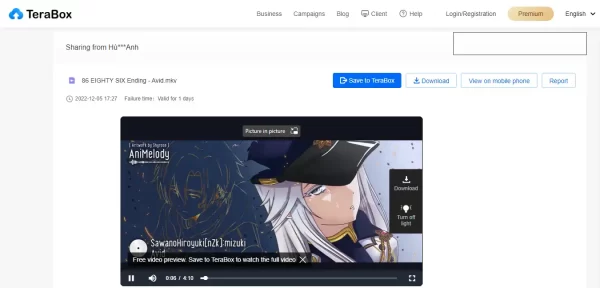 TeraTransfer 4