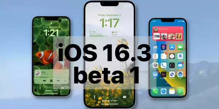 iOS 16.3 beta 1 có gì mới?