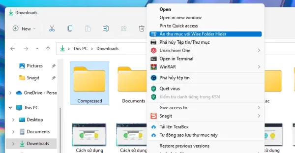 Cách sử dụng miễn phí vĩnh viễn Wise Folder Hider Pro 6