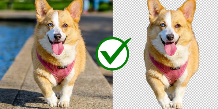 BG Remover: Tách nền cho hình ảnh WebP bằng AI
