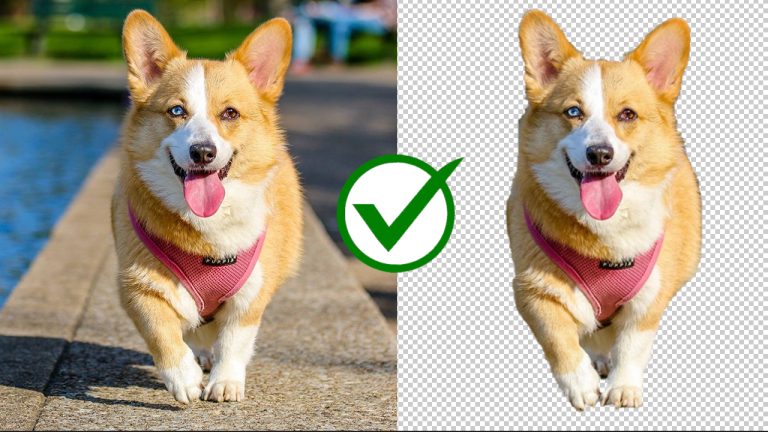 BG Remover: Tách nền cho hình ảnh WebP bằng AI