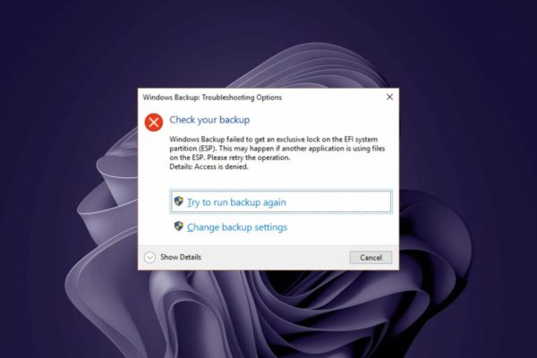 Khắc phục lỗi Windows Backup failed to get an exclusive lock on the EFI system partition 1