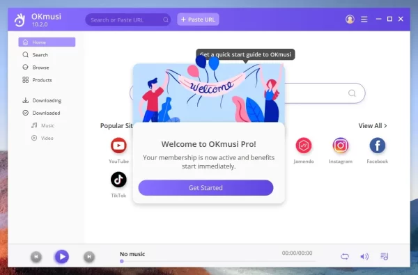 OKmusi MP3 Downloader Pro 5