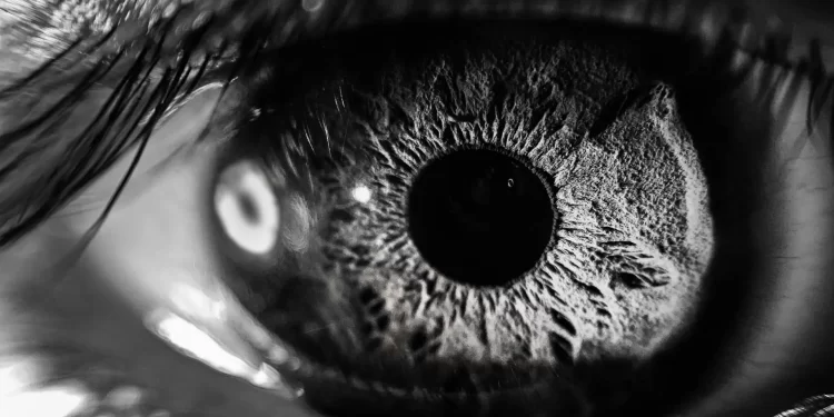 Optic ID là gì? nó hoạt động thế nào?