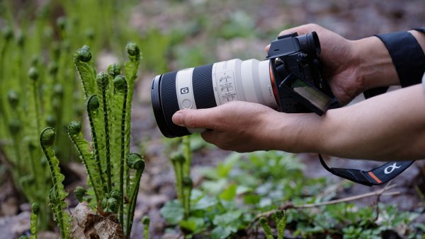 Sony ra mắt ống kính FE 70-200MM F4 Macro G OSS II