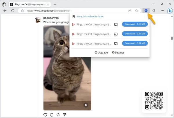 3 tiện ích mở rộng tải video, hình ảnh Threads trên Chrome 3