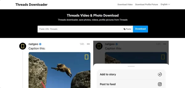 5 trang web miễn phí tải video trên Threads 1