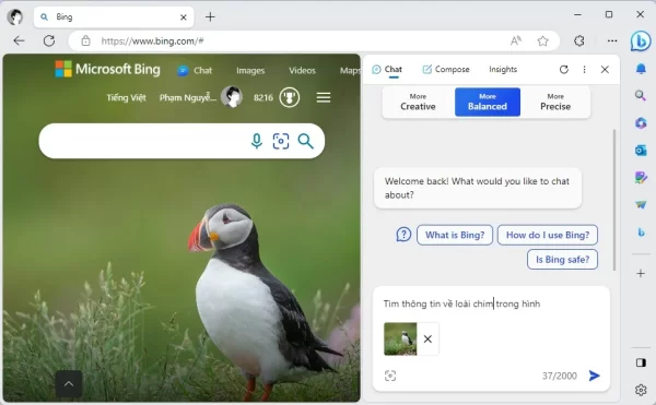 Bing Chat đã hỗ trợ lệnh truy vấn bằng giọng nói, hình ảnh 2