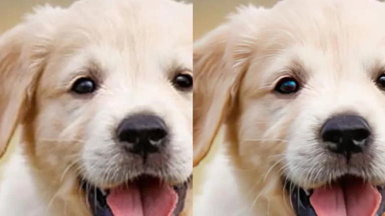 Pics Enhancer: Phóng to ảnh lên 4 lần, cải thiện chất lượng ảnh bị vỡ hình