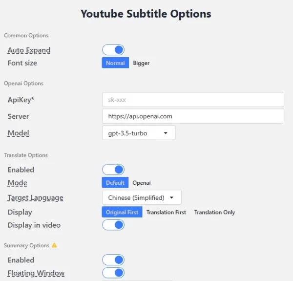 YouTube Subtitle 4