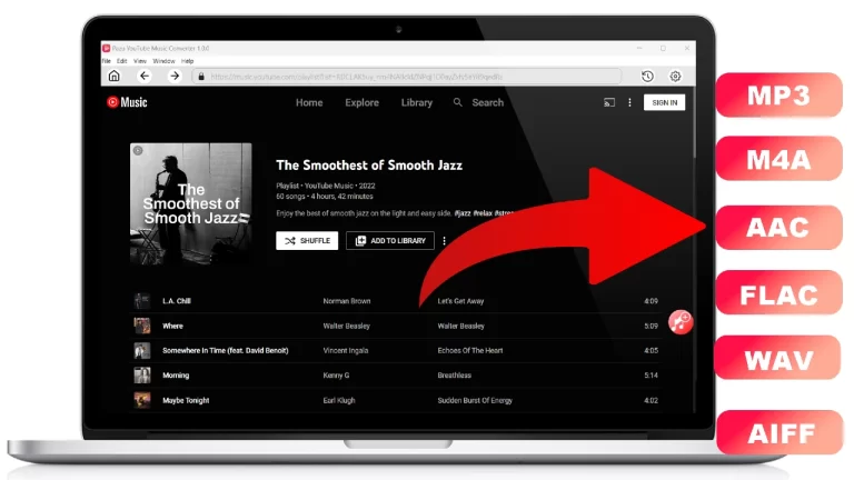 Cách sử dụng Pazu YouTube Music Converter