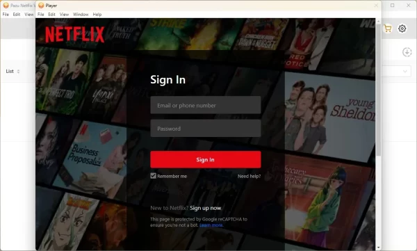 Pazu Netflix Video Downloader 4