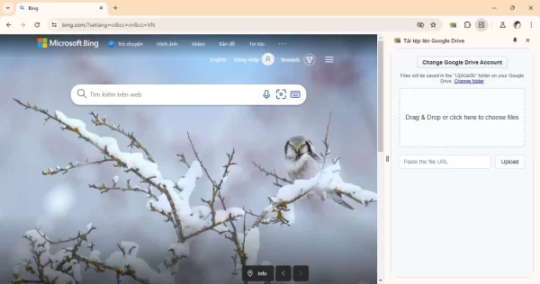 Upload to Google Drive 2