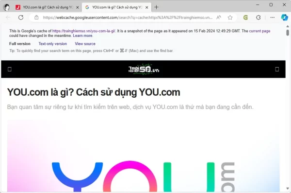 Google Cache Search 2