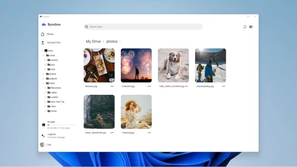 Syncbox Cloud Storage
