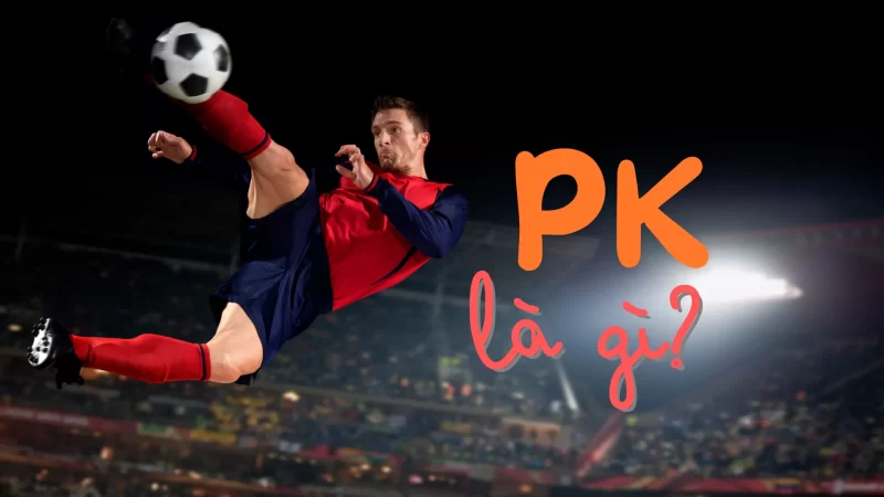 PK là gì? Nghĩa của PK trong game và các lĩnh vực khác