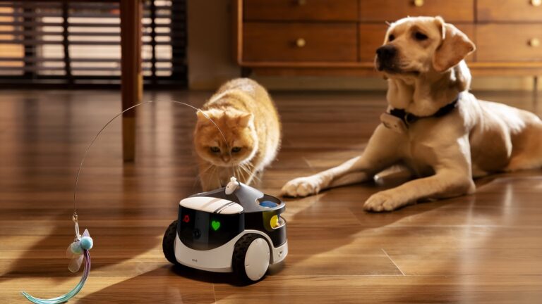 Enabot ROLA PetPal: Robot camera chăm sóc thú cưng All-in-one
