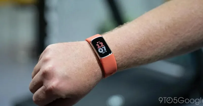 Fitbit cập nhật Charge 6, Sense 2 và Versa 4