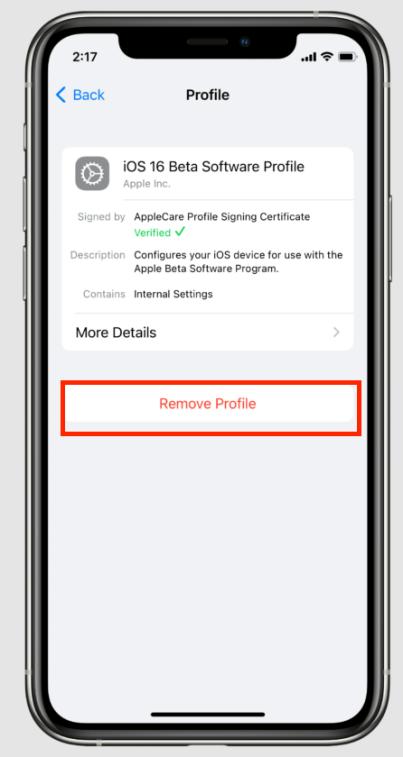 4 cách hạ cấp iOS 26 beta xuống iOS 18 mà không cần iTunes