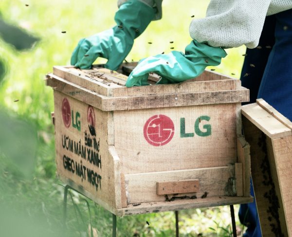 LG chính thức triển khai chương trình Đại sứ Cộng đồng LG 2025 tại Vườn Quốc gia Bến En, tỉnh Thanh Hoá.