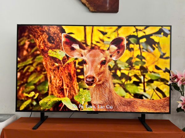 Trải nghiệm TCL A400M 55 inch: TV QD-Mini LED đáng cân nhắc cho mùa World Cup 2026 Trải nghiệm TCL A400M 55 inch: TV QD-Mini LED đáng cân nhắc cho mùa World Cup 2026