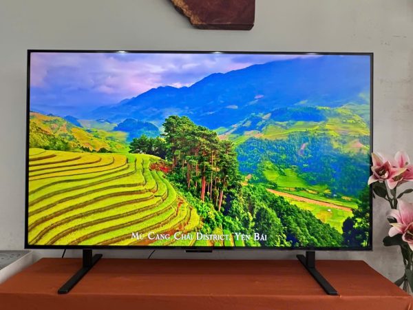 Trải nghiệm TCL A400M 55 inch: TV QD-Mini LED đáng cân nhắc cho mùa World Cup 2026 Trải nghiệm TCL A400M 55 inch: TV QD-Mini LED đáng cân nhắc cho mùa World Cup 2026