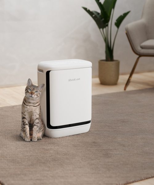 Levoit ra mắt Vital Pet Pro, máy lọc không khí tối ưu cho gia đình nuôi thú cưng