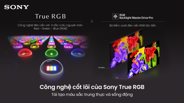 Sony BRAVIA 9 II True RGB được vinh danh “King of RGB LED TV 2026” Sony BRAVIA 9 II True RGB được vinh danh “King of RGB LED TV 2026”